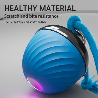 Pet Ball for Dogs Interactive Toys Motion Activate Rolling Ball for Puppy/Small Dogs Automatic Moving Toy USB Rechargeable Toy