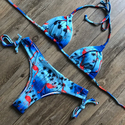 RUOTONGSEPT Sexy Print Bikinis Set Women Swimsuit Bandage Two-Piece Swimwear Brazilian Biquínis Beachwear Bathing Suit 2022 New