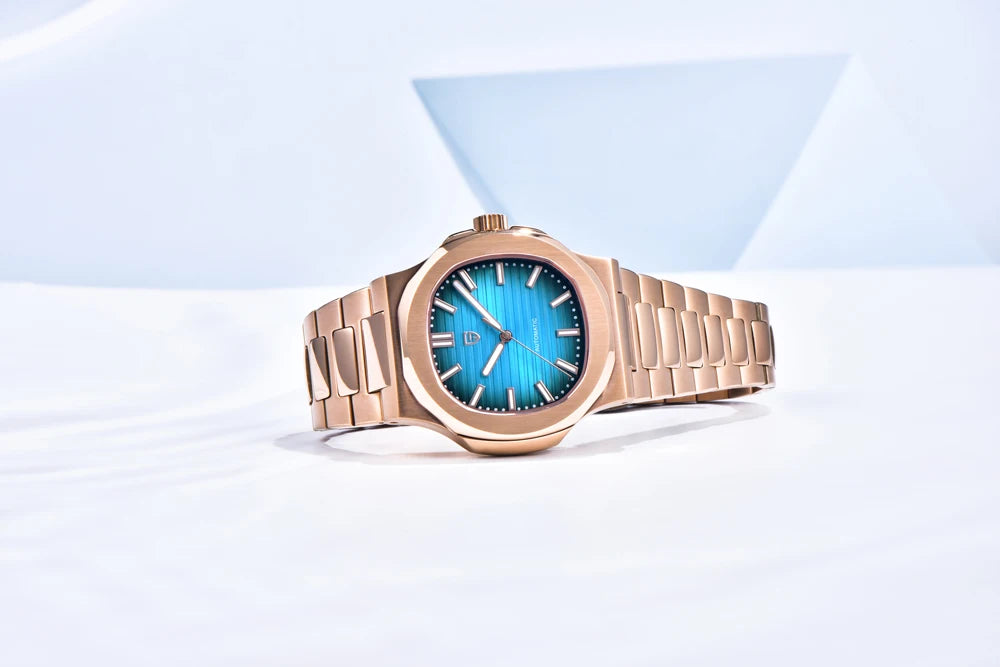 PAGANI DESIGN Top Luxury Automatic Watch For Men Mechanical Watches Men Sports Waterproof Sapphire Stainless Steel Reloj Hombre
