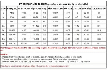 2024 Sexy Bikini Women Low waist Swimsuit Female Solid Brazilian Bikinis Set 2 Pieces Swimming Beach Bathing Suit New Beachwear