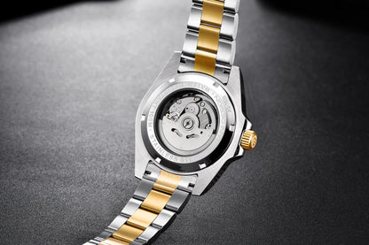 PAGANI DESIGN Watches Luxury Golden Mechanical Watch For Men New Sapphire Crystal Stainless Steel Luxury Waterproof  Men's Watch