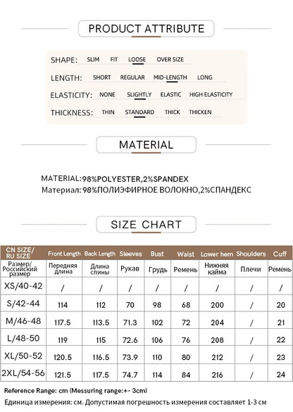 AMII Minimalist French Long-sleeve Shirt Dress for Women 2024 Autumn New A-line Office Lady Solid Midi Dresses Vestidos 12343290
