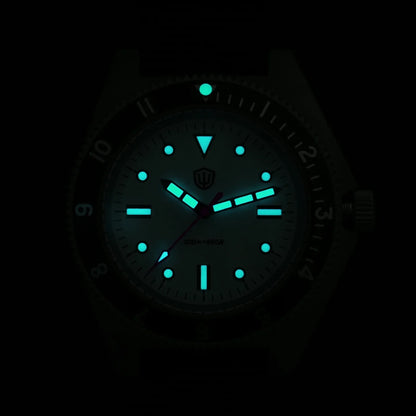 Watchdives WD1972 Quartz Watch VH31 Sweep Seconds Movement Sapphire Crystal BGW9 Luminous 20Bar Waterproof Vintage Men Watches