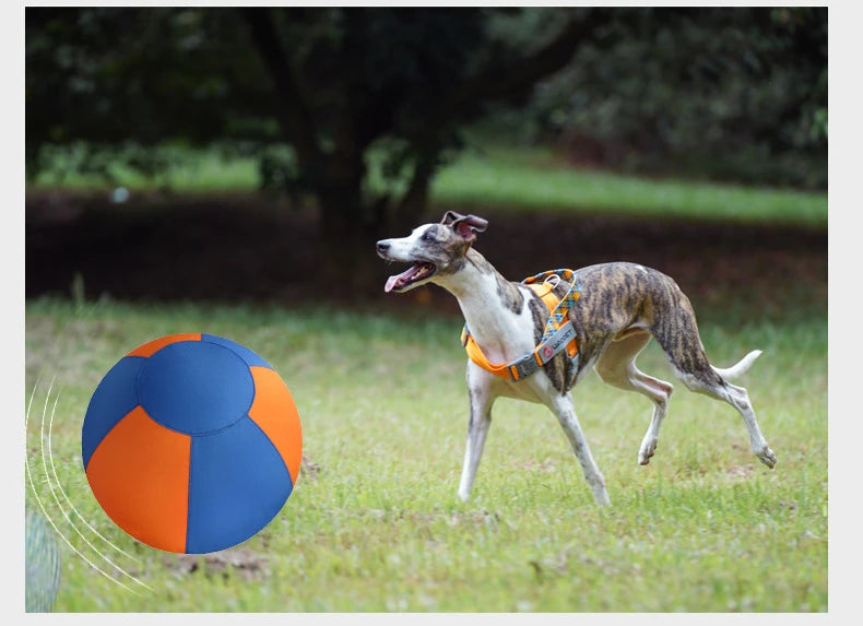 Pet outdoor dog toy, large fabric-covered interactive ball, self-entertainment boredom-relief ball, inflatable training ball