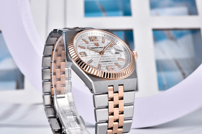 PAGANI DESIGN Watches Luxury Retro Mechanical Watches For Men Sapphire Glass New Waterproof Luminous Stainless Steel Men's Watch