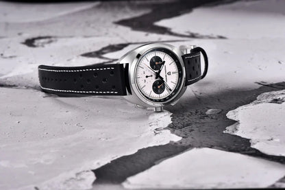2026 New PAGANI DESIGN Mens Panda Watches Luxury Quartz Watch For Men Chronograph Wristwatches AR Sapphire Leather Luminous Gift