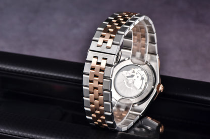 PAGANI DESIGN Watches Luxury Retro Mechanical Watches For Men Sapphire Glass New Waterproof Luminous Stainless Steel Men's Watch